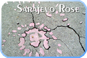 Sarajevo Rose